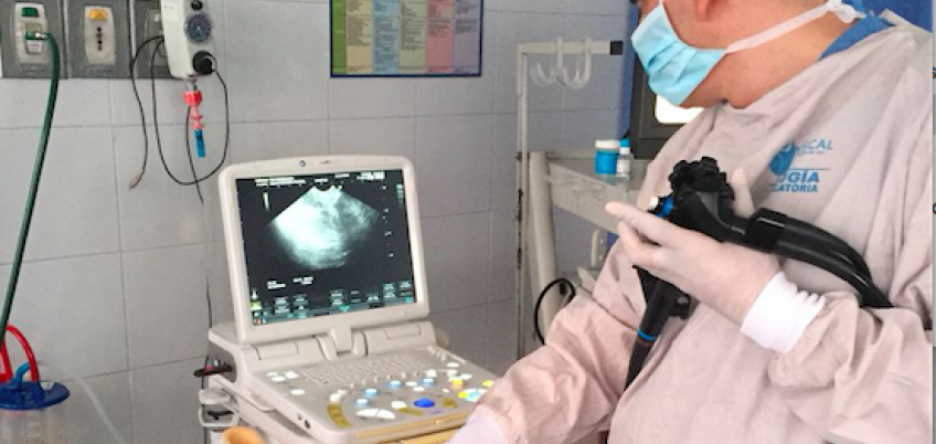 Ultrasonografía Endoscópica con o sin biopsia